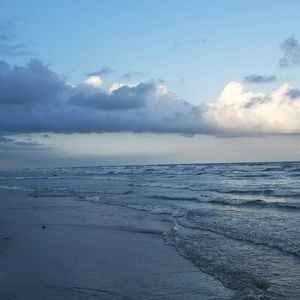 Meet your Posher, Bella